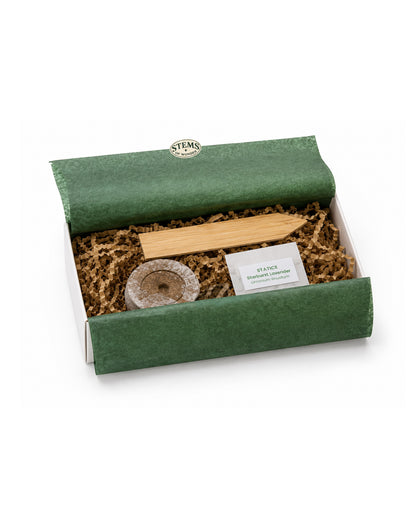 Everyday Wonders – Personality-inspired Seed Kits