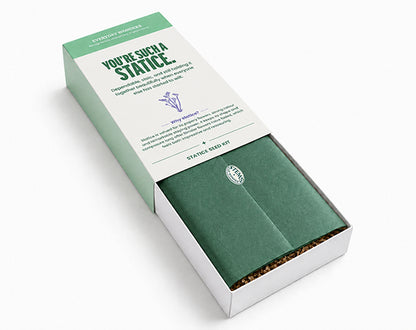 Everyday Wonders – Personality-inspired Seed Kits