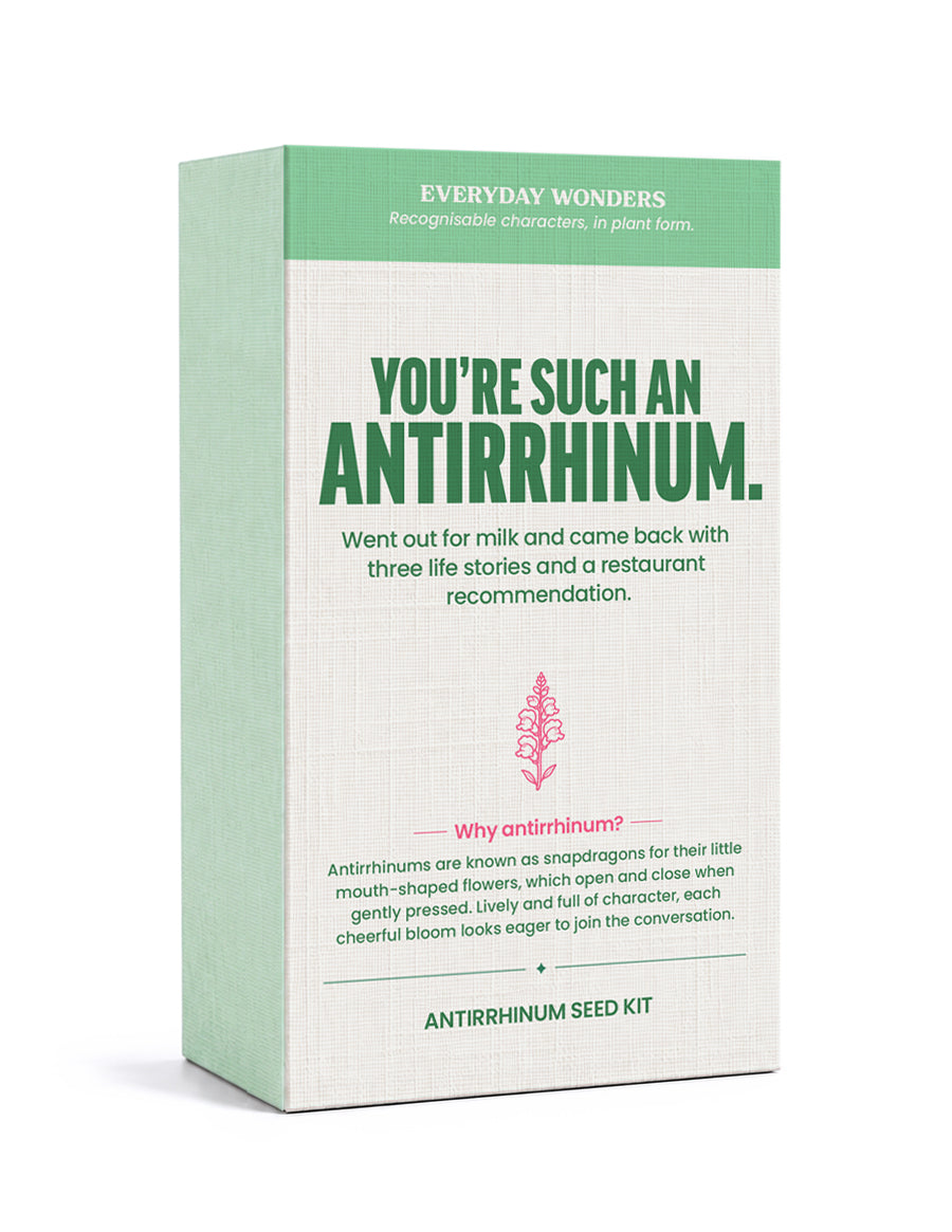 Everyday Wonders – Personality-inspired Seed Kits