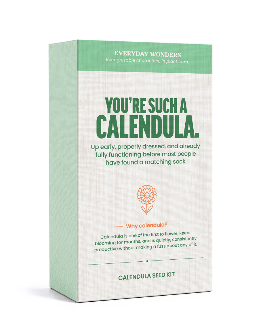 Everyday Wonders – Personality-inspired Seed Kits