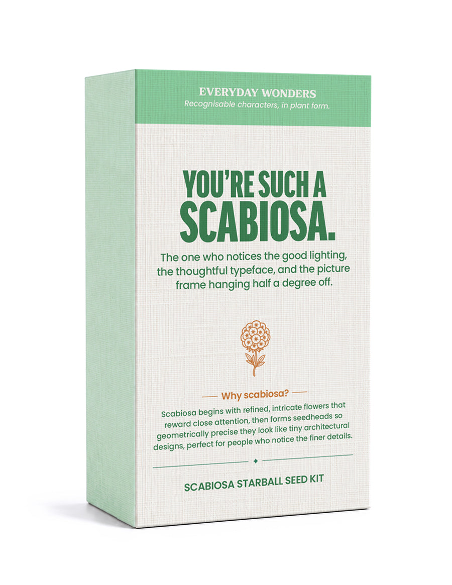 Everyday Wonders – Personality-inspired Seed Kits
