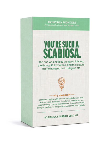 Everyday Wonders – Personality-inspired Seed Kits