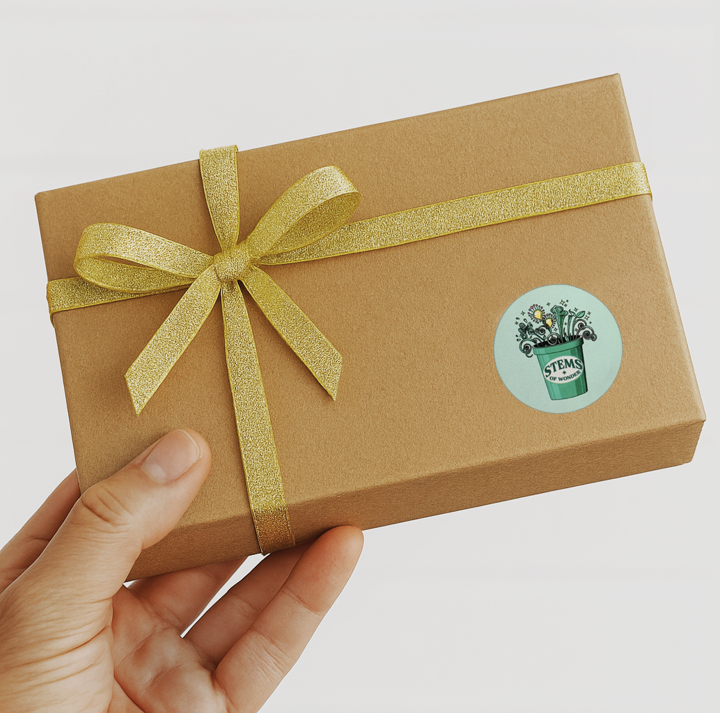 Sensory Box Gift Certificate Upgrade – Printed & Boxed Voucher NZ (+$10)