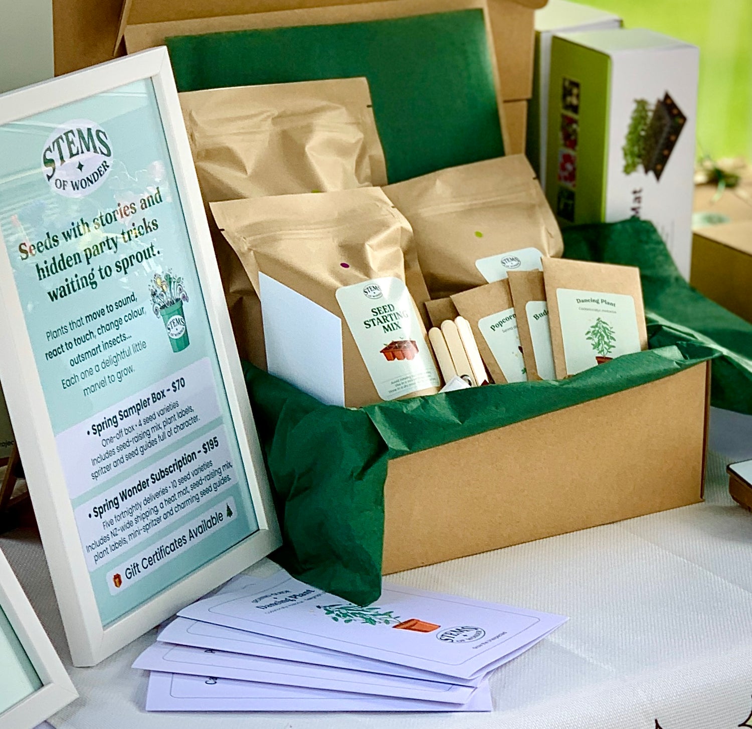 Stems of Wonder seed box gift packaging