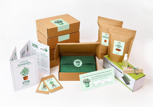 SPRING WONDER BOXES