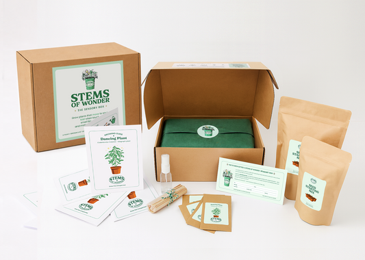 THE SENSORY BOX – Single Delivery