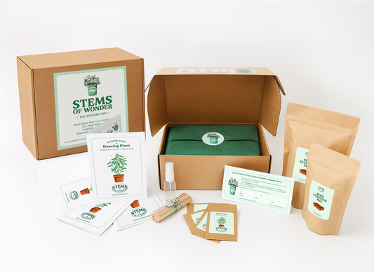 THE SENSORY BOX – Single Delivery