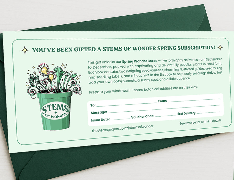 Sensory Box Gift Certificate Upgrade – Printed & Boxed Voucher NZ (+$10)